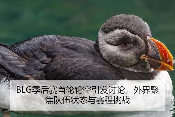 BLG季后赛首轮轮空引发讨论，外界聚焦队伍状态与赛程挑战